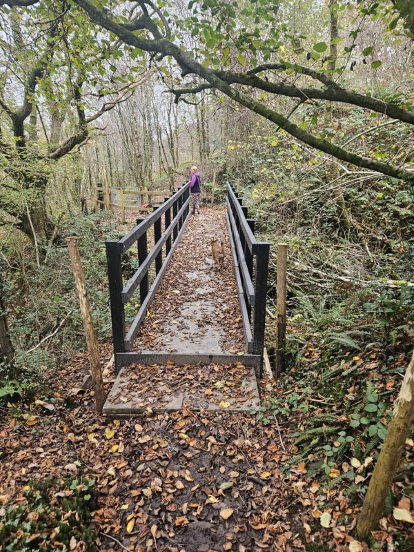 Ystradgynlais Bridge2